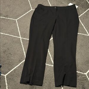 Maurices Mid Rise Classic fit boot dress pants